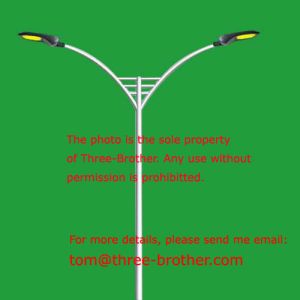 Double Arm Lighting Columns Model No. TBP-02B