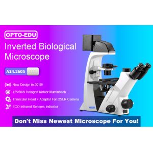 China 20x / 40x Annular Spot Inverted Optical Microscope Trinocular A14.2605 wholesale