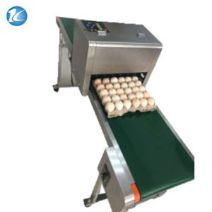 China Professional Egg Breeding Machine Date Coding Machine One Year Warranty wholesale