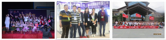 Heat Resistance Black / White EPDM Rubber Sealing Strip Gasket For Windows