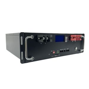 Rack Mounted LiFePO4 Lithium Battery 100Ah 200Ah Multiple Parallel Connections