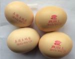 60 HZ Egg Jet Printer / Date Qr Code Egg Spraying Machine With Fast Printing