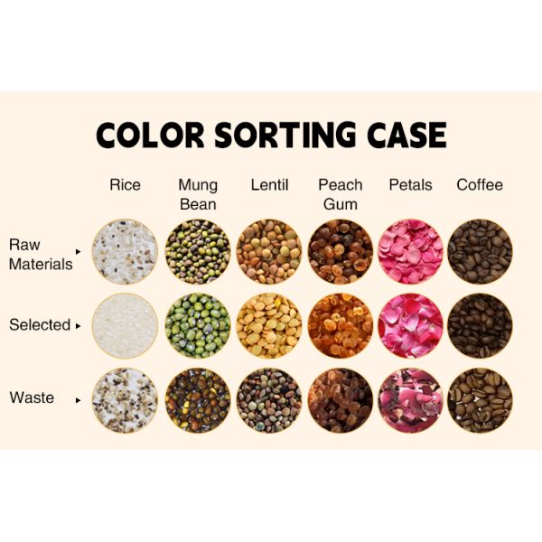 Coffee Beans Rice Grain Color Shape Sorting Machine Ccd Optical Technology For Dry Vegetables