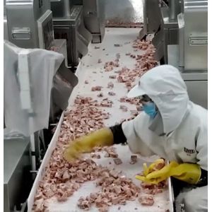 20 Bag / Min Multihead Weigher Packing Machine For Icy Meat Bone Product