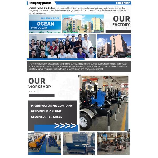 Diesel Fire Fighting Pump/diesel Engine Fire Pump