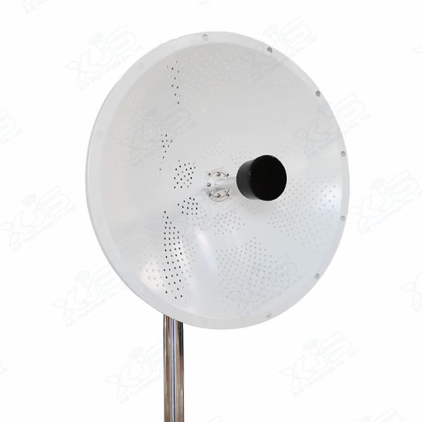 Quality 5G 24dBi MIMO Antenna 126/Ms Pole Mount Wifi Point To Point Antenna For Communication for sale