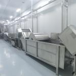 Fully Automatic Mango Juice Processing Line Machine For Mango Processing Factory