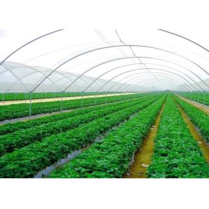 China High Efficiency Customized Insect Mesh Netting 80% Windbreak Value wholesale