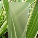 Frosted Polycarbonate Sheet Light Diffusion Enhanced Privacy Impact Resistance