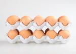 Custom Color Semi Automatic Egg Tray Machine With PLC Control Easy Operation
