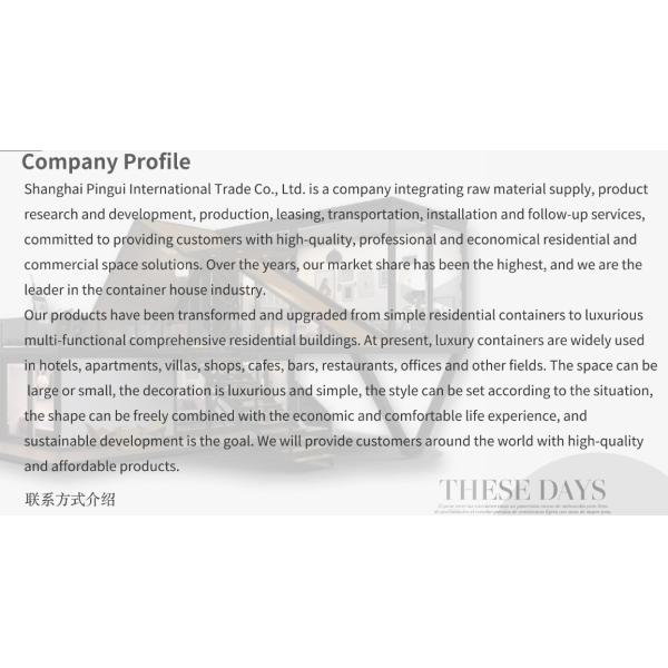 EU Forest A-shaped Triangular Steel Structure Wooden Houses for a Sustainable Lifestyle