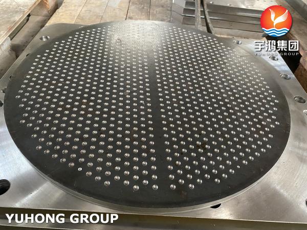 Quality Forged Stainless Steel Tube Sheet For  Shell and Tubular Heat Exchanger Fixied Type,U-type type ,Floating Type for sale