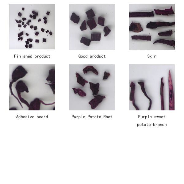 Accurate Optical Sweet Potato Dice Sorting Machine