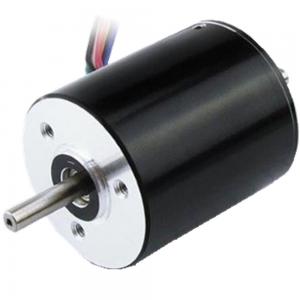 China High Rpm Brushless DC Motor For Car Cushion Massage Pump Electric Vehicle wholesale