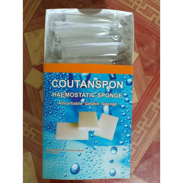 Medical Disposable Absorbable Gelatin Hemostatic Sponge 70x50x10mm