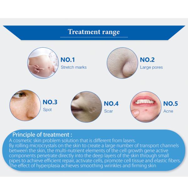 Professional Fractional Rf Microneedle Machine 2Mhz-4Mhz
