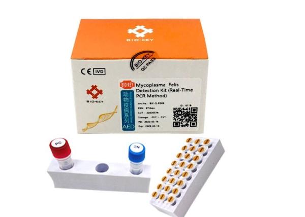 Quality Nucleic Acid Mycoplasma Detection Kit MFV Real Time Quantitative PCR for sale