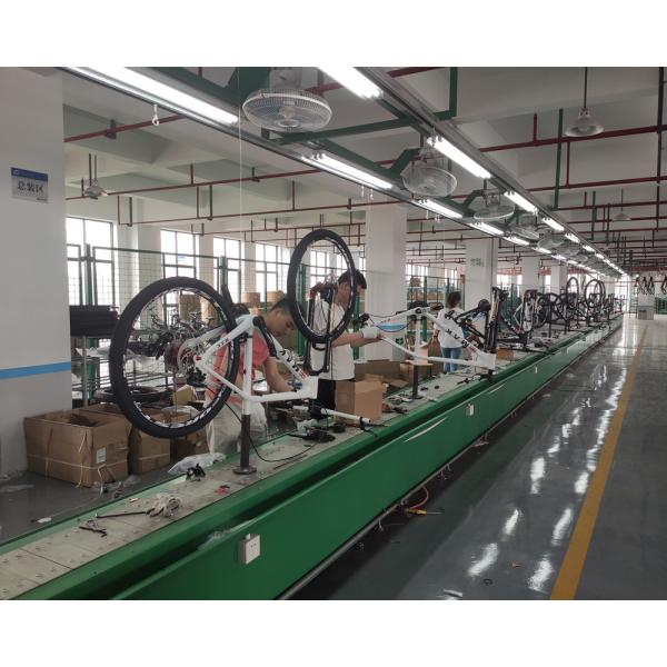 20 Inch Electric Fat Tyre Bike for Adult Customized Vintage E Dirt Bike Beach Bikes Cruisers