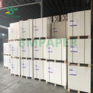 China 230gsm + 18gsm Cup Stock Paper Board Safe No Smell Specialty For Noodle Bowls wholesale