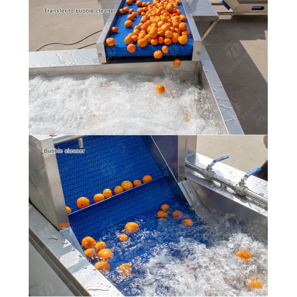 Multifunctional Fruit Sorting Machine Vegetable Washing Drying Production Line