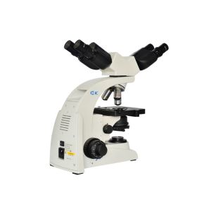 China UOP UB104i Multi Viewing Microscope Edu Science Dual Viewer Microscope wholesale