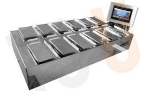 China MCU Control 10WPM Fruit And Vegetable Packaging Machine Combination Scale wholesale