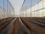 Recyclable Stronger Hex Mesh Insect Netting Mesh High Tensile Strength