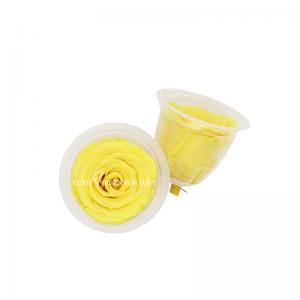 China Decorative Fresh Cut Yellow Preserved Roses 2-3 Cm wholesale