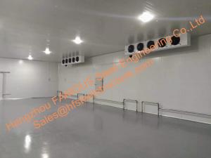 China Blast Freezer Cold Room Fishing Equipment , Cold Storage Walk In Cooler And Freezer wholesale