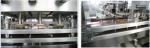 Rotary Piston Filler Paste Filling Machine Liquid Filling And Capping Machine