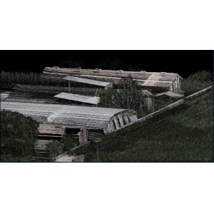 China Lightweight W50 LiDAR High Performance Scanning Professional Surveying LiDAR wholesale