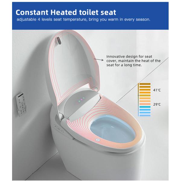 Multifunction Bathroom Smart Toilet , Concealed Tank Electric Bidet Toilet