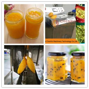 China CFM-M-03-03T 3T/H Mango Jam Processing Line Professional SS304 Easy Operation on sale