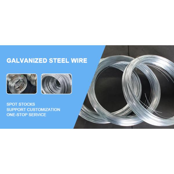 Assurance Hot Dipped Galvanized Steel Wire Rolls for Binding Wire and Punching Service