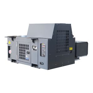 Perkins Genset Reefer Container Generator 15kw 20kw Genset Generator For Reefer