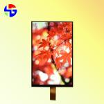 10.1 Inch MIPI Interface LCD TFT Display 40PIN Full View Angle 500cd/m2