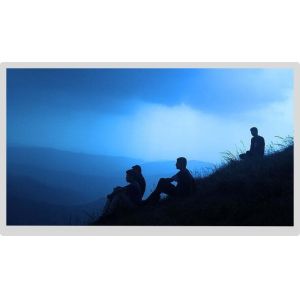 China IPS 21.5 30 Pin Laptop LCD Screen Lvds 1920x1080 Full Viewing Angle on sale