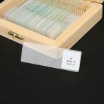 Prepared Medical Lab Research 15pcs Tissue Microscope Slides