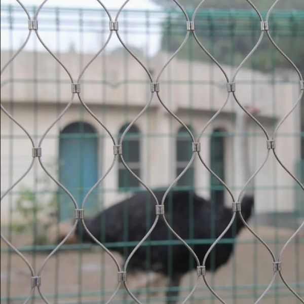 X-Tend Stainless Steel Cable Wire Netting for Bird Aviary Anti Falling Net