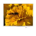 12.1 Inch 1280x800 TFT LCD Display LVDS Interface 16.7M Color LCD Module