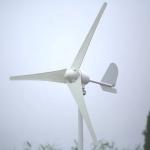 Design 3KW Off Grid Home Wind Power System with Pure Sine Wave Low Frequency