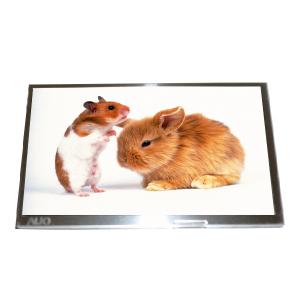 China New 7.0 inch C070FW02 V0 TFT Specific Analog RGB 30 pins LCD Module wholesale