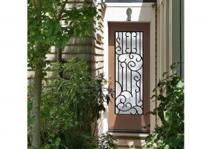 China Distinctive Customization Wrought Iron Glass Door Inserts Excellent Climate Resistance wholesale