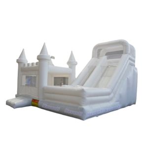 Logo Custom Logo Printed PVC Inflatable Castle Water Slide Pool for Party Rental