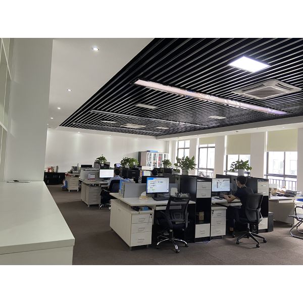 20 Inch Electric Fat Tyre Bike for Adult Customized Vintage E Dirt Bike Beach Bikes Cruisers