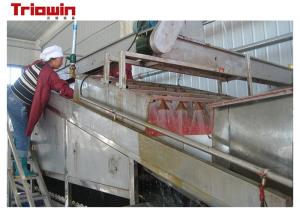 China Concentrated Tomato Paste Making Machine , Tomato Sorting Machine With Pre Washing Unit on sale