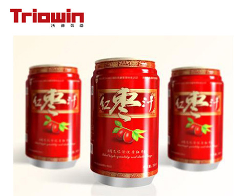 Industrialized Fruit And Vegetable Processing Line For Date Washing And Elevator