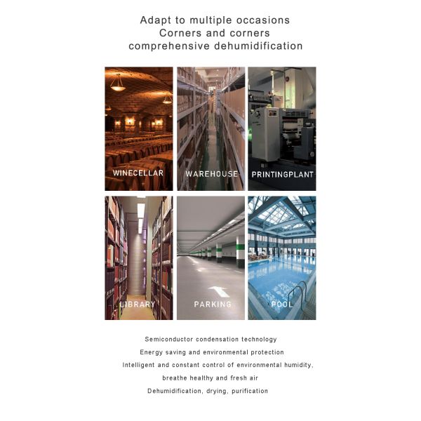 Popular High Quality Water Damage Restoration Crawlspace Commercial Dehumidifier with Certified