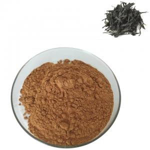 China Kelp Kombu Seaweed Organic Sea Kelp Extract Fucoidan 95% 98% wholesale