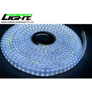Double Row IP68 SMD3528 LED Flexible Strip Lights AC220V 3528 or 5050 SMD LED